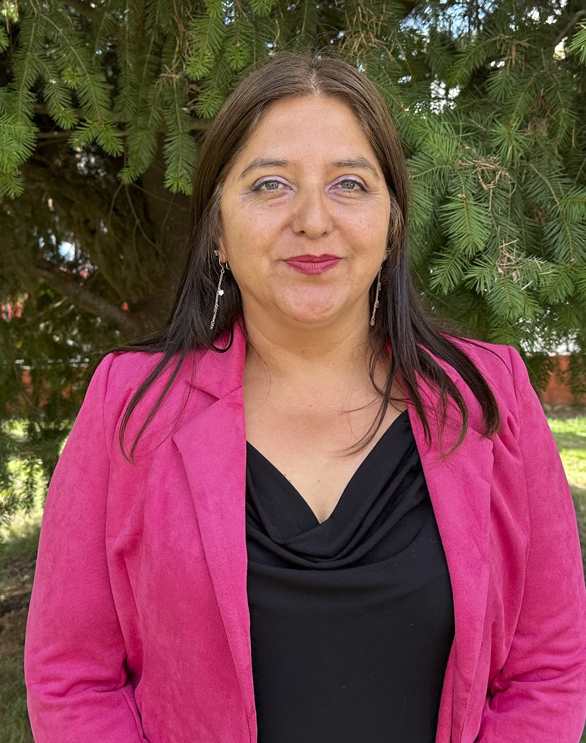 Delmira Irene Provoste Soto